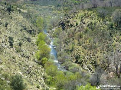 Cascadas del Aljibe - Arquitectura Negra;embalse el paular selva de oza adrada sierra magina